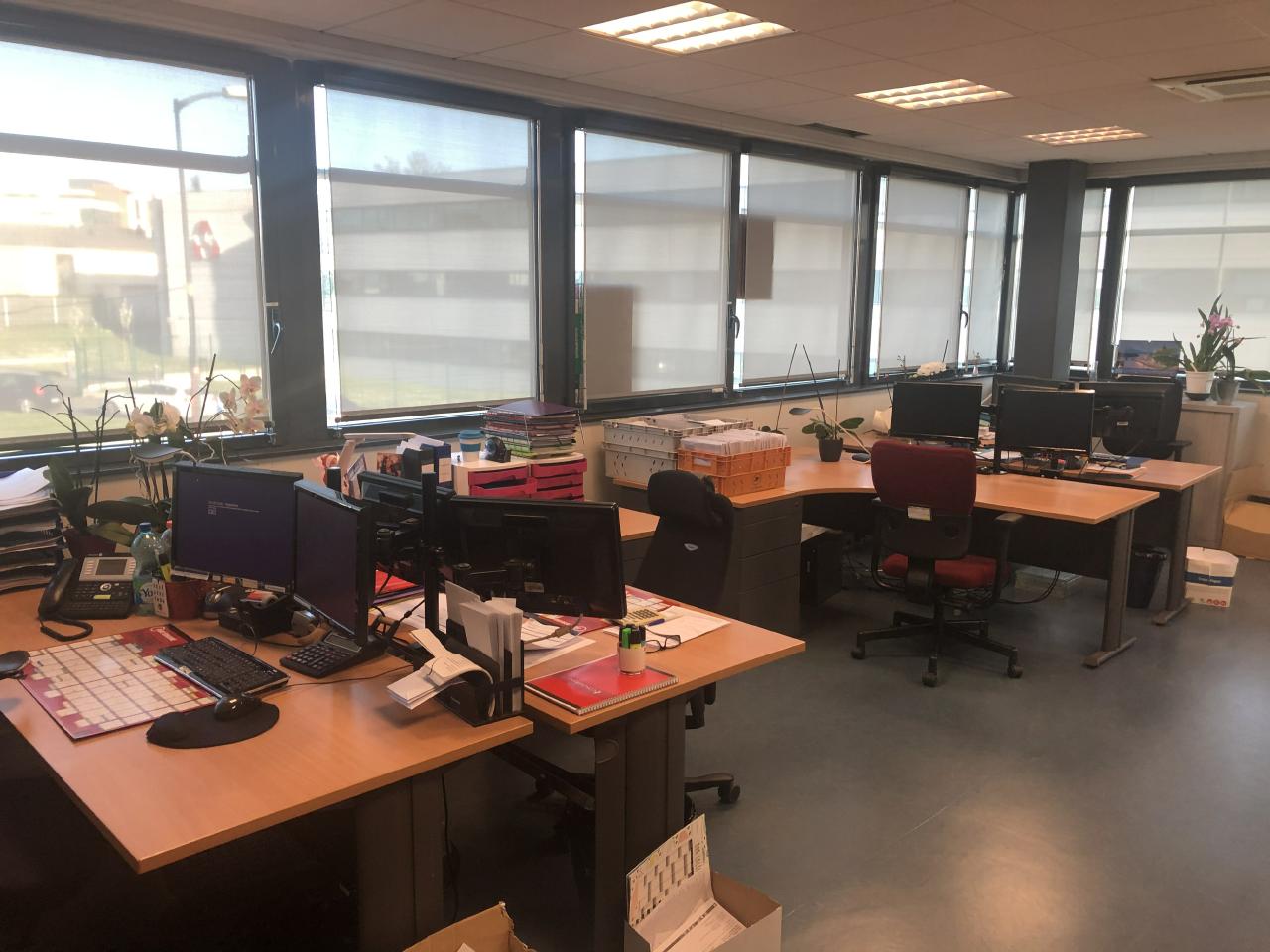 Bureau Balma 613m² Location bureau Balma Haute-Garonne OLBUR2108225 14